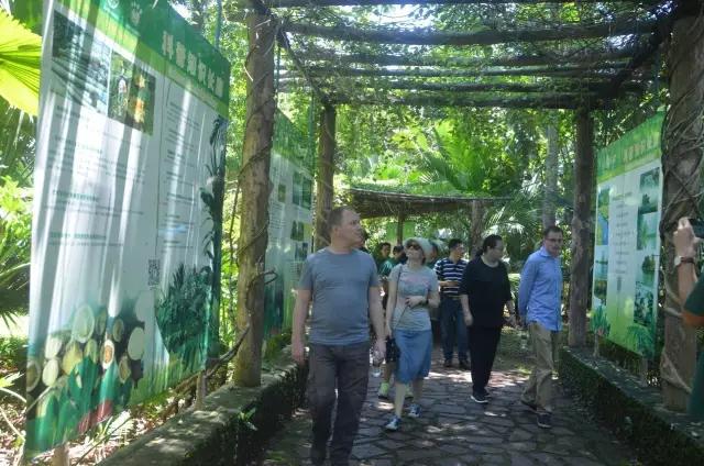 参观步行区动植物科普长廊